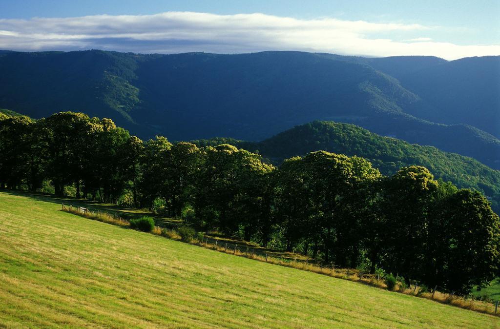 Vvf Les Cevennes Bedoues Exterior foto